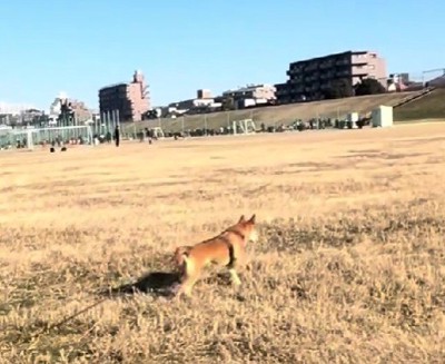何かを見つけたごぅちゃん