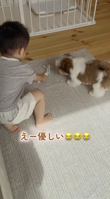子犬におもちゃを渡す男の子