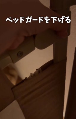 ペットゲートを下げると…