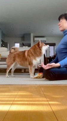 目をつむる女性を見上げる犬
