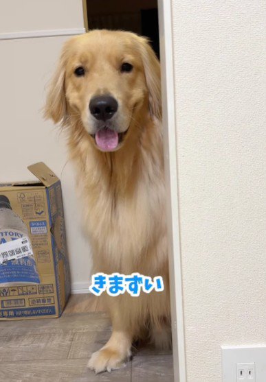 掃除の様子を見守る