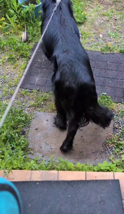 ご家族にサポートされながら…