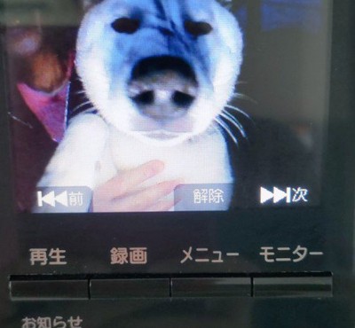 え…？本当にあの子…？