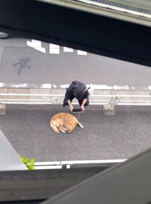 ふと見下ろすと…