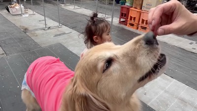 みんなで順番にね