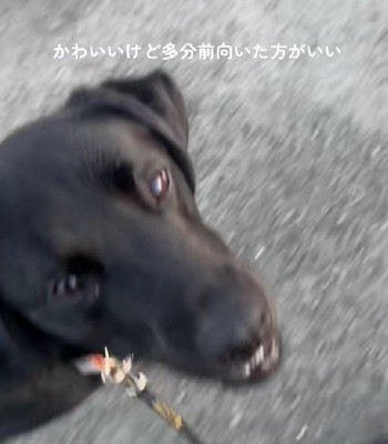 アイコンタクトしすぎ！？