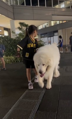 サマになってます