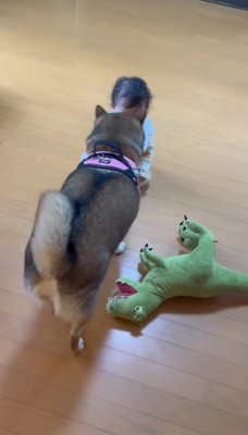 赤ちゃんとおはぎちゃん