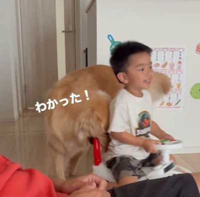 おもちゃの車の取っ手を咥える犬