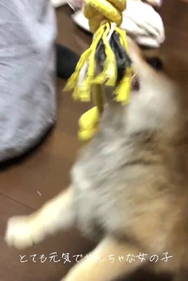 天真爛漫な性格も魅力♡