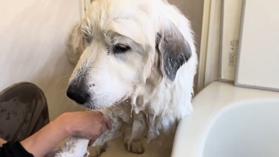 この世の終わりのようなお顔（笑）