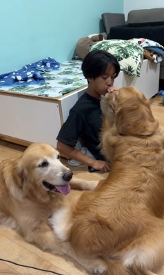 大型犬たちを撫でるお兄ちゃんナデナデの時間が始まりました!