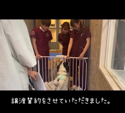 テトくんが幸せを掴むまで9