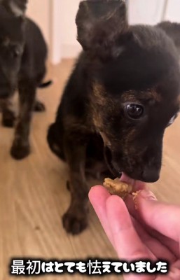 震えが止まらなかった