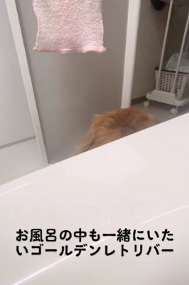 「ここで待ってる」