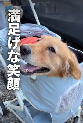 すっかりご満悦