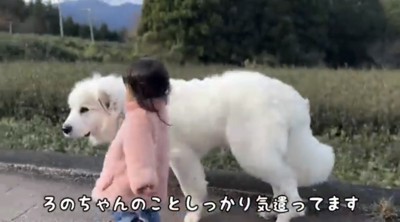 振り返りながら歩く犬と子ども
