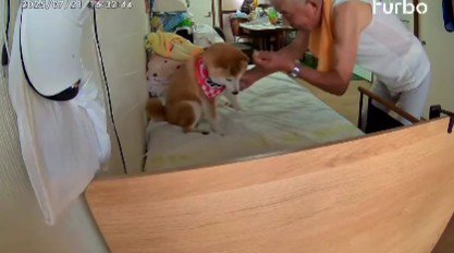 富士くんの雄姿を映したい