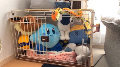 いちごちゃんのケージにぬいぐるみを入れたら3