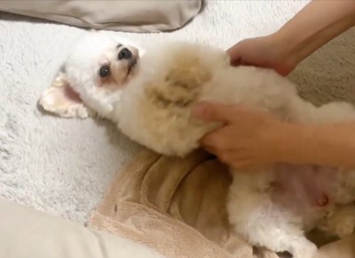 抱き上げようと