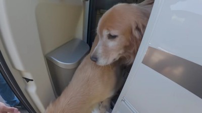 一目散に外へ飛び出した