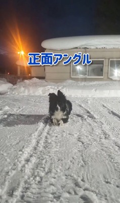 正面から見たU2くん