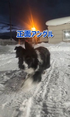 バレないように移動中♪