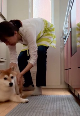 押しのけて強制退去