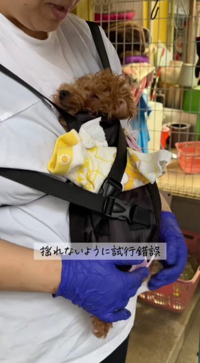 上手に歩くことができない