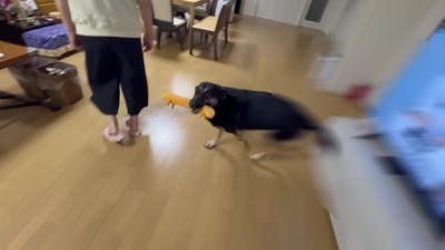 「待ってたよ～！！」