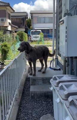 視線の先には…?