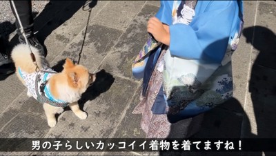 青い着物を着た男の子と再会した犬