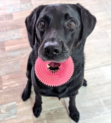 お転婆な女の子