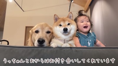 ほのちゃんに付き合う2匹