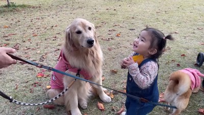 みんなで落ち葉遊び