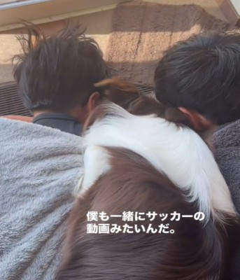 2人の間に入る犬アップ