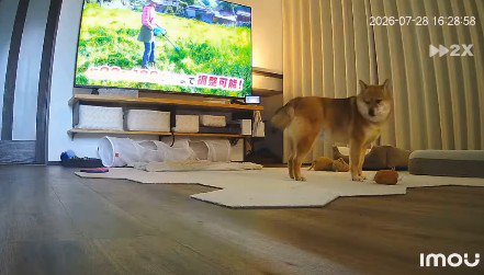 見つかったあとも…