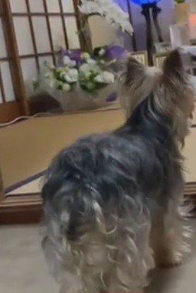 たくさんお話しようね