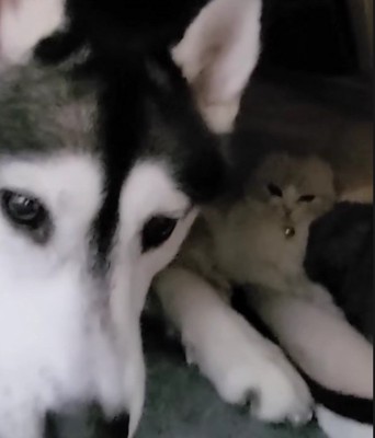 じゅんちゃんと一緒にいた♡