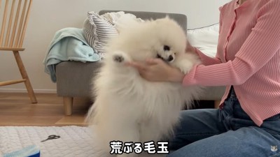 「よくもやったな～！」
