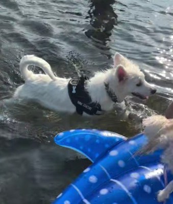 「それに…楽しい♪」