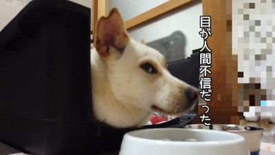 人間不信に陥っていた