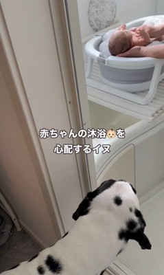 赤ちゃんを心配するジルくん