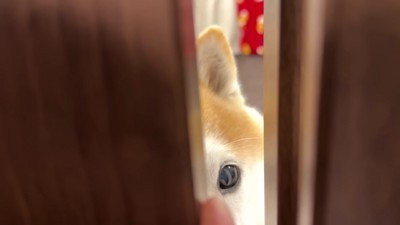 再び10秒間のお別れ