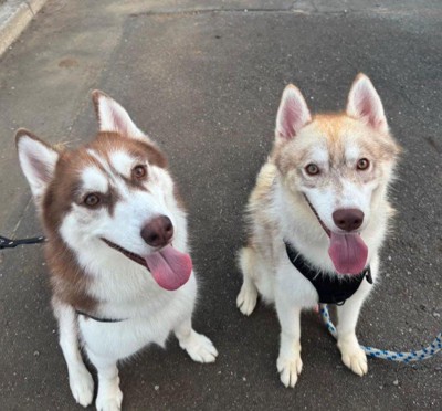 これからも幸せにね