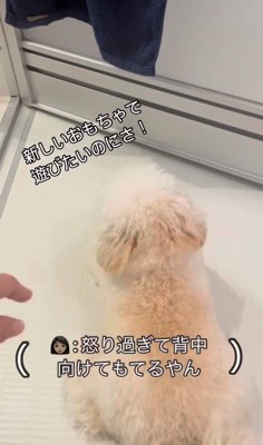 お風呂場に突撃するジジくん5