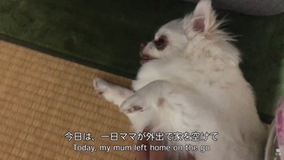不機嫌丸出しの表情