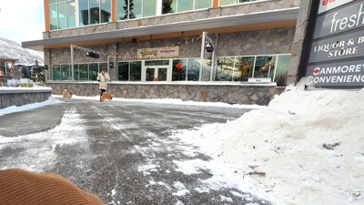 2匹の反応は…？