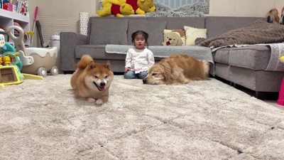 うにくんだけがスタート