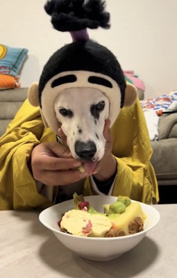ケーキを食べさせてもらっている犬